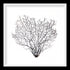 black sea fan white landscape frame by peek a blue